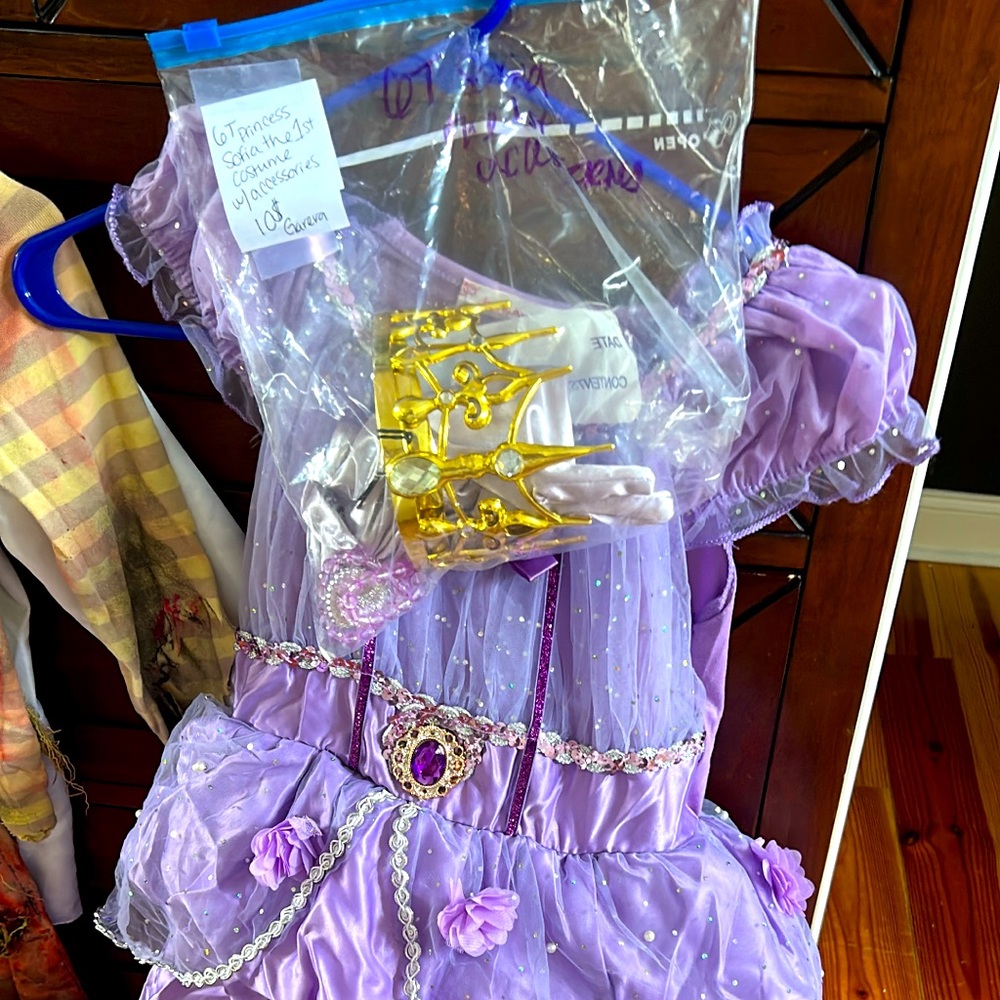 complete sophia the first princess costume 6T